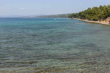 欧洲 卡桑德拉 爱琴海 旅行 旅游业 地中海 半岛 海湾