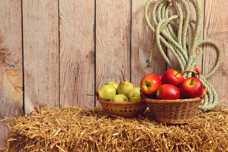 栽培 农事 篮子 农业 赤褐色 素食主义者 季节 作物 苹果