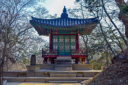 反射 地标 建筑学 亭阁 寺庙 树叶 落下 吸引力 秘密