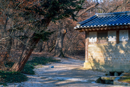 韩国人 宫殿 旅游业 美丽的 地标 颜色 落下 目的地 旅行