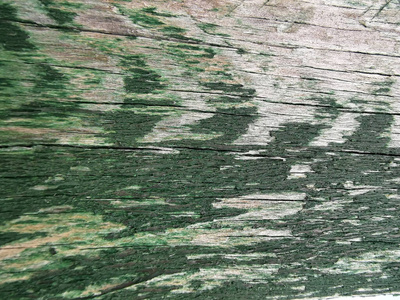 墙纸 自然 栅栏 材料 地板 面板 古老的 硬木 古董 老年人