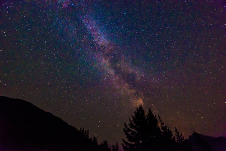 繁星 明星 粉红色 场景 森林 星云 摄影 天文学 风景