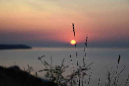 自然 日出 天空 傍晚 海洋 日落 夏天 早晨 黎明 太阳