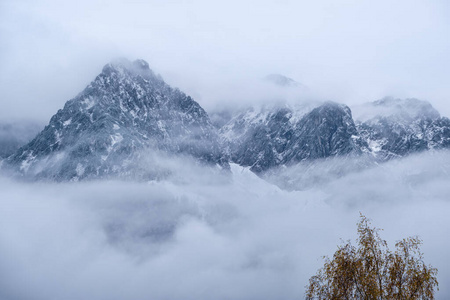 德国 美丽的 欧洲 奥地利 旅游业 岩石 朦胧 白云石 神秘的