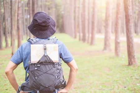 成人 航行 背包客 地图 公园 森林 徒步旅行 夏天 背包