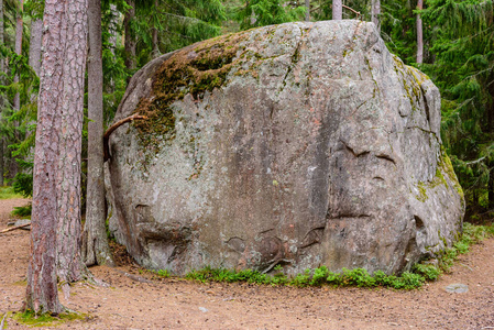 爱沙尼亚语 爱沙尼亚 灌木丛 国家 岩石 古老的 夏天 地标