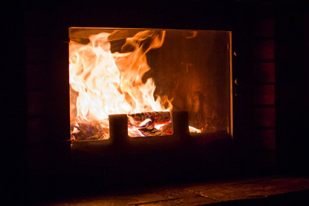 温暖 木柴 收集 火焰 篝火 房间 圣诞节 地狱 框架 燃烧
