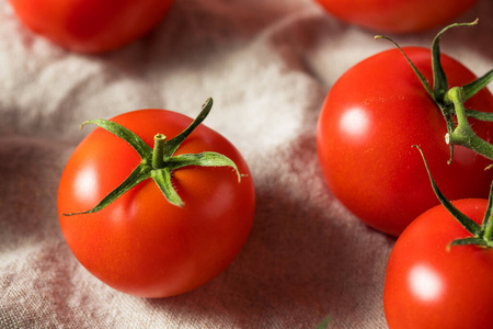 农业 健康 植物 蔬菜 食物 夏天 自然 营养 西红柿 美味的