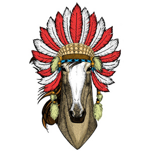 马，骏马，骏马。野生动物肖像。印度羽毛头饰。波西米亚风格。