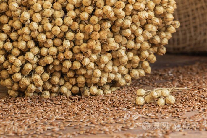 生态学 草药 欧米茄 自然 健康 亚麻籽 合作 医学 素食主义者