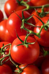 蔬菜 饮食 夏天 自然 番茄 素食主义者 维生素 食物 花园