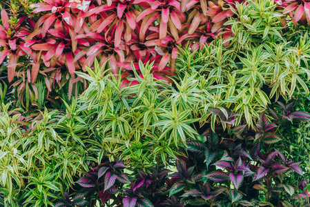 织物 美丽的 粉红色 招呼 花束 复古的 植物 花园 花的