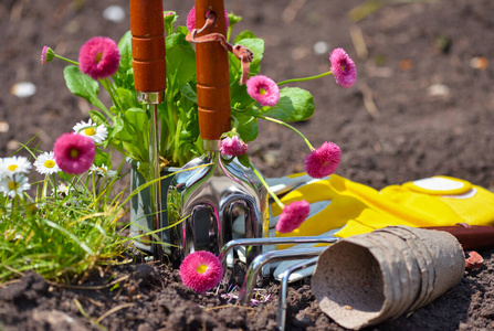地球 土壤 粉红色 植物学 种植 铲子 春天 植物 污垢