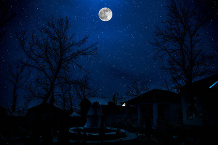 万圣节 天气 月亮 被遗弃的 分支 恐怖 村庄 害怕 森林照片