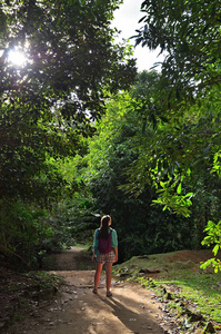 太阳 步行 塞舌尔 通路 日落 生存 探索 旅游业 自由