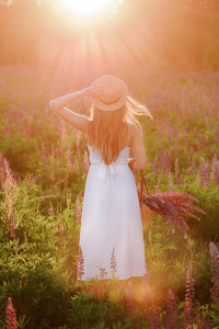 在日落时对着光的草一个长头发的女孩在日落时背对着一大束羽扇豆.