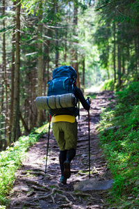 旅行 闲暇 假期 风景 伍兹 步行 运动 森林 徒步旅行者