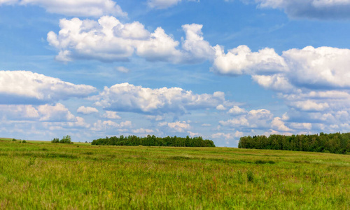 蓝天白云，草甸树。夏季海报的纯景观背景。