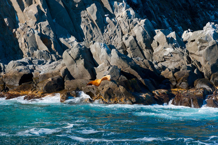 海景 悬崖 岩石 斯泰勒 堪察加半岛 旅行 风景 自然 海洋