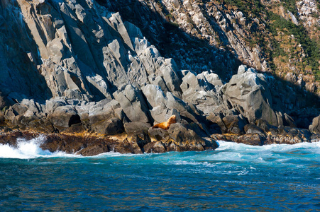 海景 夏天 悬崖 自然 海岸 堪察加半岛 斯泰勒 岩石 旅行