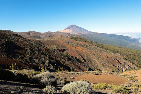 泰德 天空 火山 美丽的 风景 旅游业 岩石 夏天 森林