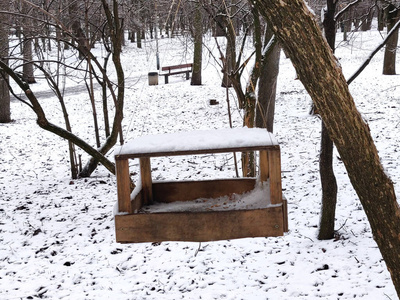 冬天 花园 自然 饲养员 鸟舍 动物 喂鸟器 木材 房子