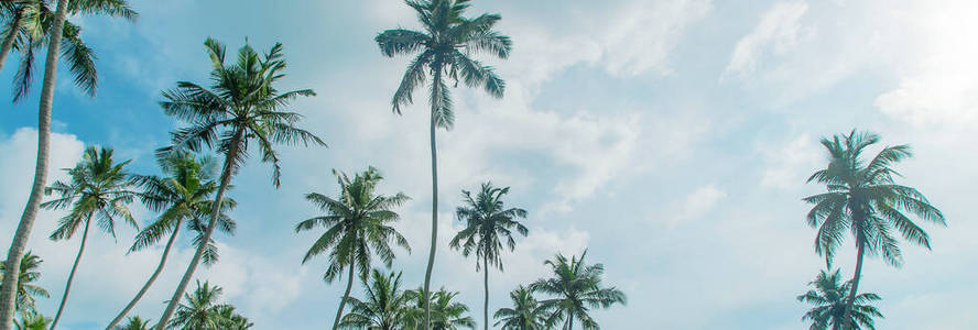 亚洲 太阳 假期 风景 泻湖 植物 放松 天堂 复制空间