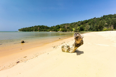 泰国 自然 美丽的 海湾 假日 旅行 风景 日志 海岸 天堂