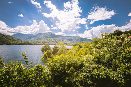 风景 森林 植物 早晨 旅行 假期 旅游业 美女 公园 自然