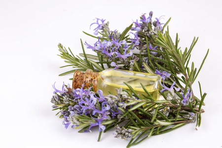 迷迭香精油装在小瓶子里.天然香料化妆品照片
