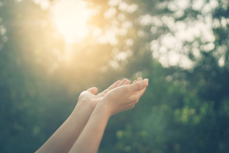 女人张开手向夕阳西下的天空和绿色的模糊的树叶,太阳光抽象的背景.