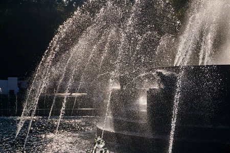 在一个阳光明媚的夏日里,一个大喷泉喷出的水柱在城市中心城市公园的