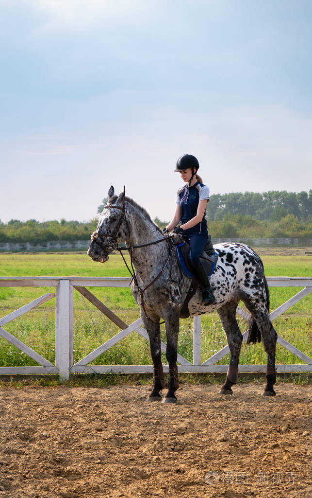 在户外骑马的年轻女孩女运动员骑着马骑着马