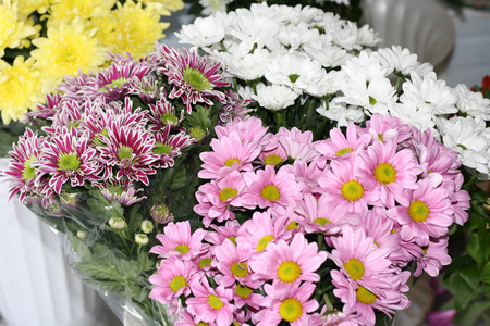 一家花店里的白色黄色和粉红色的菊花.一束菊花.照片