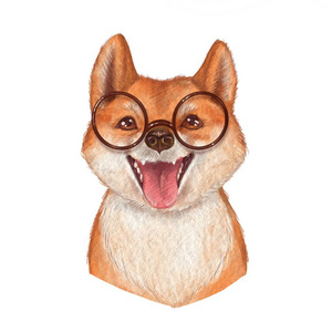 可爱的狗戴着眼镜,孤立在白色背景上.照片