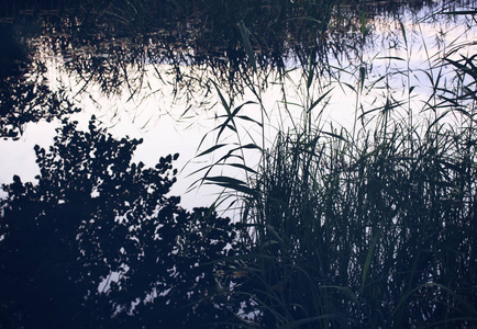 锦城湖夜晚人像图片