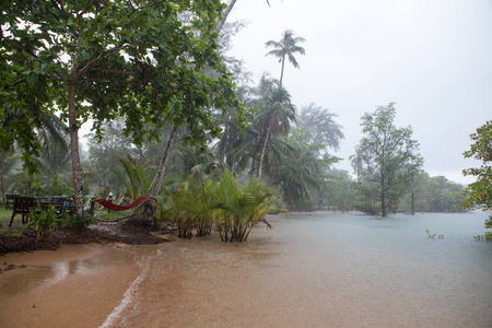 热带大雨和海滩上的洪水图片