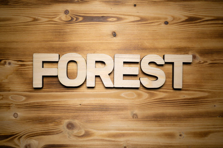 木板上用积木做成的森林字图片