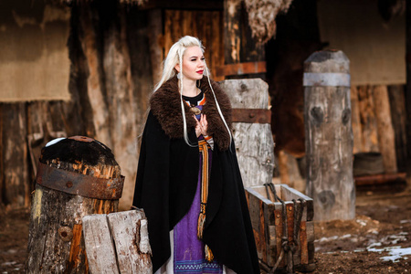 橙色的维京人盾图片