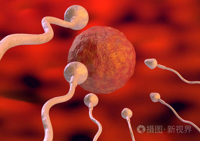 卵巢的早期症状_卵巢早衰的8大征兆图片_卵巢早衰的症状图片