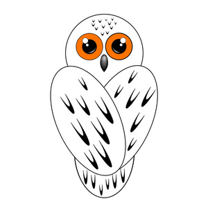 雪白的猫头鹰白色的颜色图片