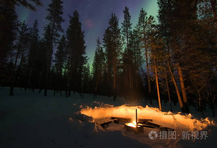 美丽的 拉普兰 自然 北欧 寒冷的 极光 森林 北极光 星星