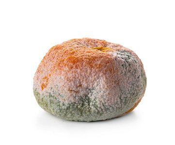 腐烂的橘子图片