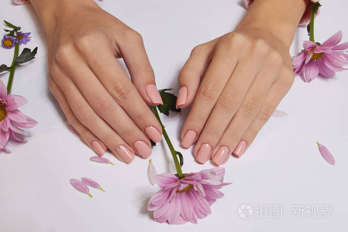 时尚艺术女性手部及粉色花朵的护肤