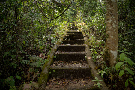 东南亚丛林中美丽的老楼梯图片