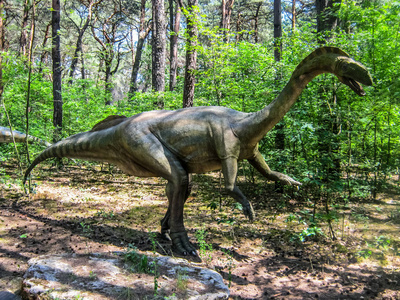 森林中的两腿食草恐龙.照片