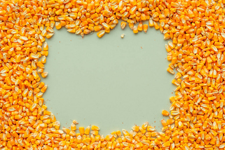 具有复制空间的收获玉米籽粒背景照片