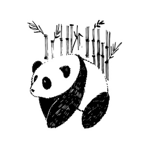 水墨竹子海报可爱的熊猫图案与竹子.水墨手绘插图.照片
