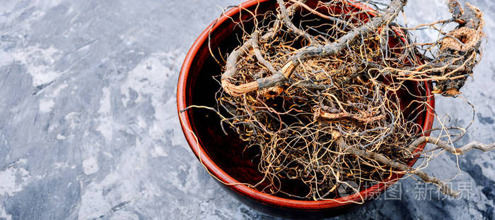 中药中的龙须根