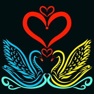 黑色背景下可爱的情侣天鹅和心形图案照片